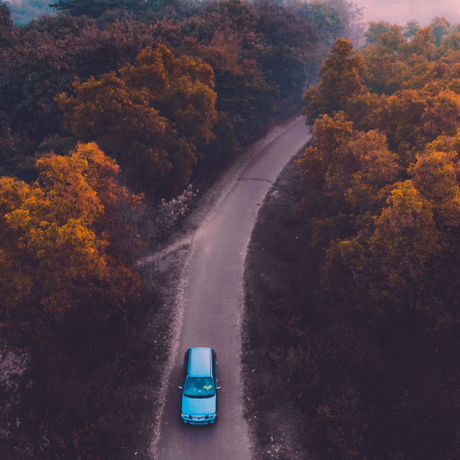 Auto auf einer kurvigen Landstraße durch herbstlichen Wald aus der Vogelperspektive